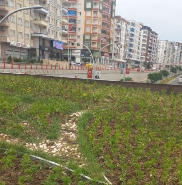 Çiçek Ekimi Görsel 4