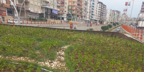 Batman Belediyesi, yaz mevsimi için çiçek ekim çalışmalarına başladı