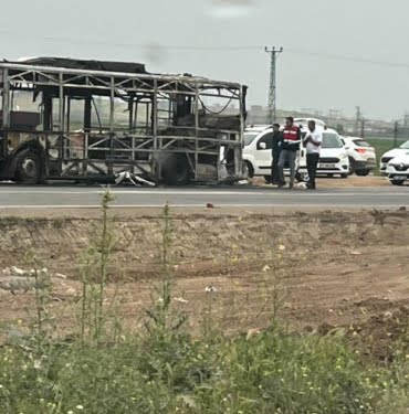 WhatsApp Image 2023-05-12 at 11.23.26