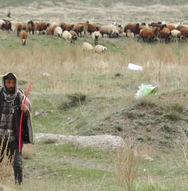 canli-bomba-denilerek-ihbar-edilen-pKiT