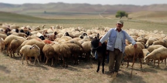 Çağdaşlaşan liderlik Çağdaşlaşan liderlik