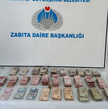 1072441161_0_384_2048_1536_1920x0_80_0_0_fd9bd448c33894b4058fc0c7b149175a