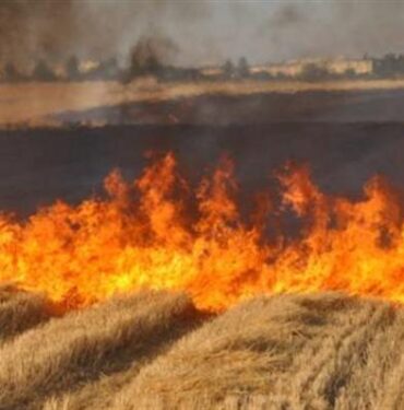 Anız Yangınları 2021