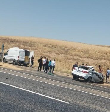 WhatsApp Image 2023-06-16 at 11.49.41