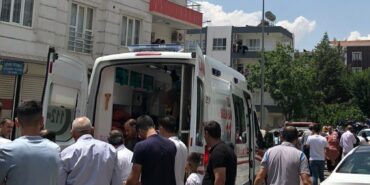 WhatsApp Image 2023-06-19 at 13.52.40