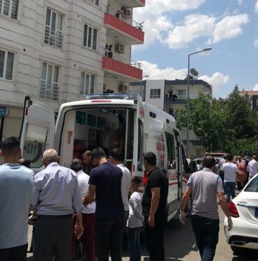 WhatsApp Image 2023-06-19 at 13.52.40