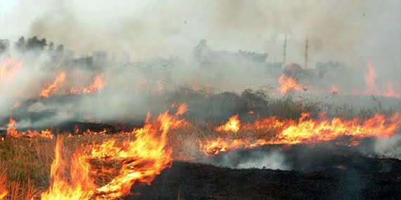 Batman ve çevresinde buğday hasadı bitti, anız yangınları başladı