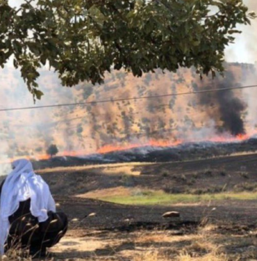 Ekran görüntüsü 2023-07-28 134120