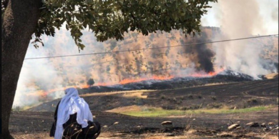 Cudi Dağı’nda ormanlık alan 3 gündür yanıyor. Hiçbir müdahale yok…