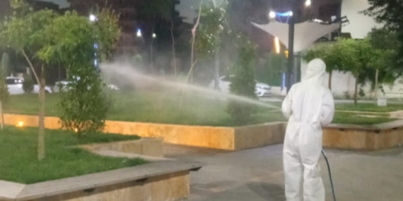 Batman’da yeşil alanlar sabahın ilk ışıklarına kadar ilaçlanıyor