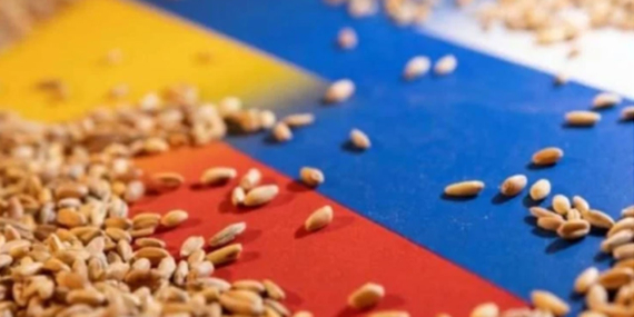 Rusya, tahıl gemilerini hedef gösterdi; Buğday fiyatlarında bir günde çılgın artış