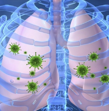 verem-hastaligi-hakkinda-bilgi-1024x597