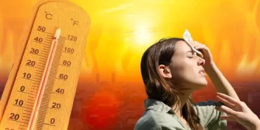 62946cd0136acf48a956d914