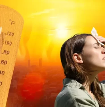 62946cd0136acf48a956d914