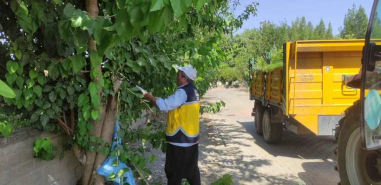 Ekran görüntüsü 2023-08-14 154453