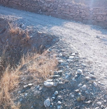 WhatsApp Image 2023-08-07 at 16.43.54