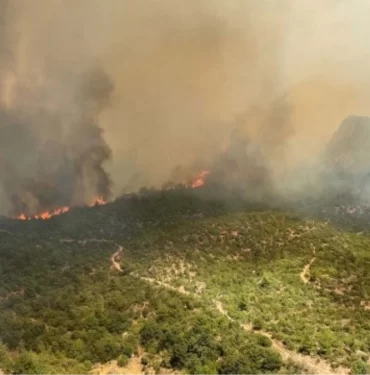 canakkale-yangin-mi-cikti-son-dakika-canakkale-16252766_2322_amp