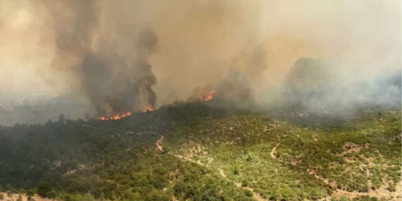 Çanakkale yangınında 2. gün I “9 köy ve 1251 vatandaş tahliye edildi”