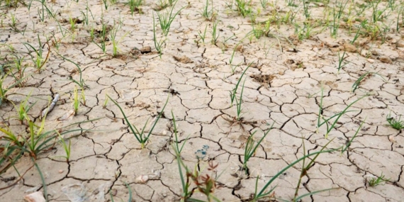 Çölleşiyoruz: Batman’da yağışlar %60’tan fazla azaldı