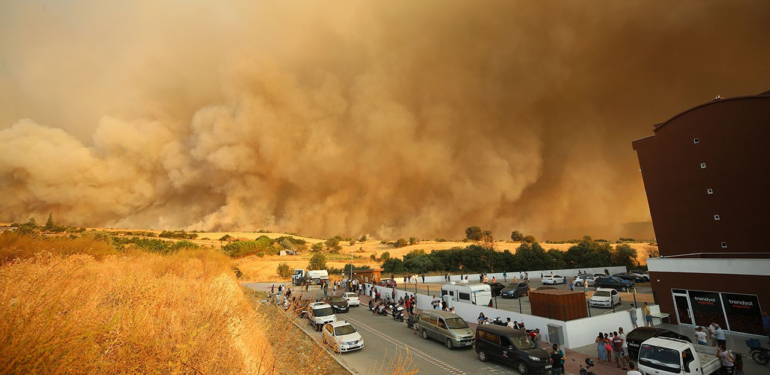 orman yangını
