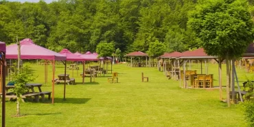 piknik alanı