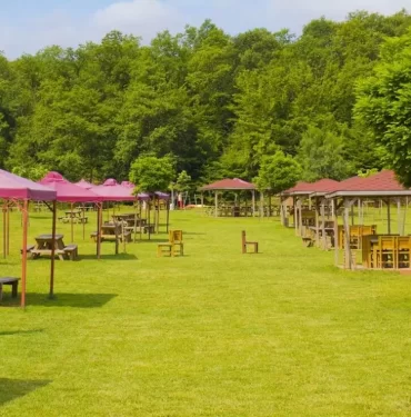 piknik alanı