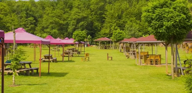 piknik alanı
