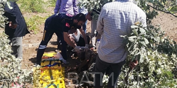 Kuru otları yakmak isterken yanarak can verdi