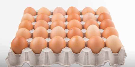 Yumurta sektöründeki o firmalara soruşturma