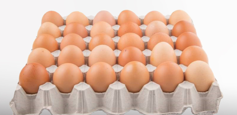 Dokasa, Doğal Kağıt Sanayi, Yumurta Viyol, Yumurta Viyolleri,