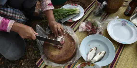 Dünyanın en tehlikeli yemeği: 20 bin kişinin ölümüne neden oldu! Dünyanın en tehlikeli yemeği: 20 bin kişinin ölümüne neden oldu!