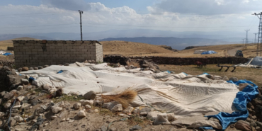 8dd647de-0b62-4588-833f-8647936b0ba-WdeZ