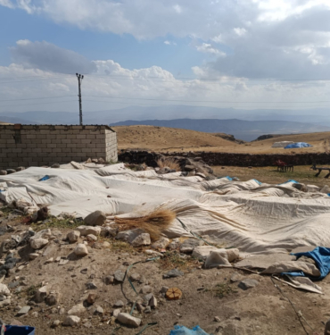 8dd647de-0b62-4588-833f-8647936b0ba-WdeZ