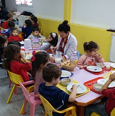 PIC_20190207_121041312