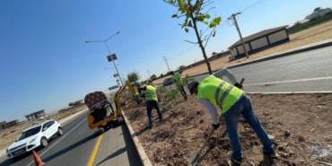 Siirt Çevre Yolu Yeşillendirme Görsel 1
