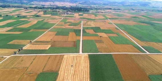 Hazine arazileri imara açılacak