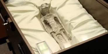 iddia-akil-disi-meksika-nin-buldugu-ufo-fosili-16335225_2569_o