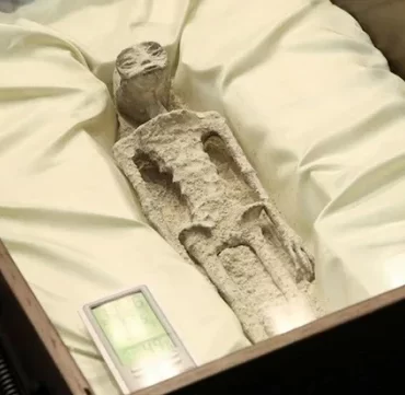 iddia-akil-disi-meksika-nin-buldugu-ufo-fosili-16335225_2569_o