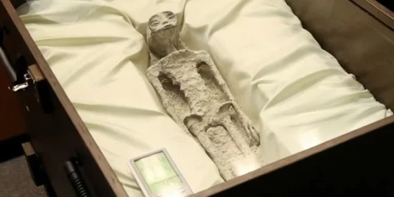 Meksika'daki "uzaylı" fosili "pasta" mı çıktı? Meksika’daki “uzaylı” fosili “pasta” mı çıktı?