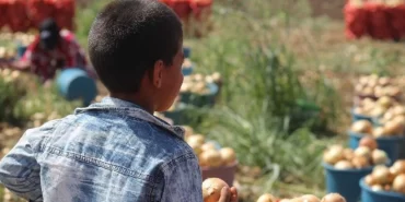 yoksullugun-tablosu-6-bin-269-cocuk-issizlik-odenegine-basvurdu-Ykxg