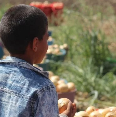 yoksullugun-tablosu-6-bin-269-cocuk-issizlik-odenegine-basvurdu-Ykxg