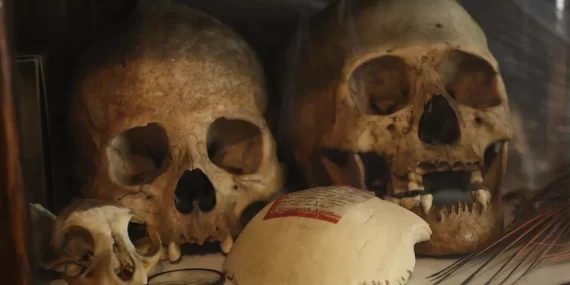 'Zenginlik ayini için' kafatası hırsızlığı yapan 5 kişi cezalandırıldı ‘Zenginlik ayini için’ kafatası hırsızlığı yapan 5 kişi cezalandırıldı