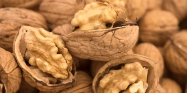 JM7TzDFWC0ORshqIx84uwQ