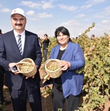 batman valisi ve eşi