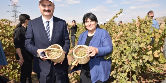 İkinci Gercüş Bağbozumu ve Gastronomi Festivali gerçekleştirildi