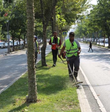 Parklarda Kış Hazırlığı Görsel 3
