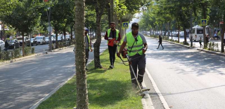 Parklarda Kış Hazırlığı Görsel 3