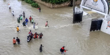 d0826dfd-f8c9-4317-9962-274febde9fda