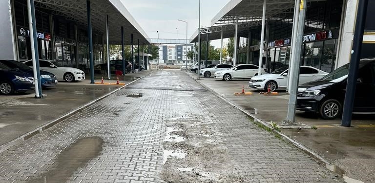 auto store