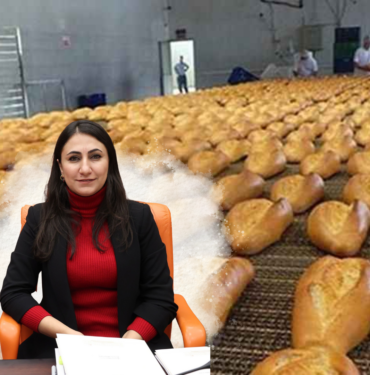 zeynep oduncu